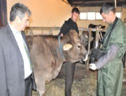 ‘Dinen sakıncalı, ekonomik olarak zararlı'